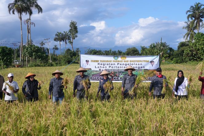 
					Bupati Kepulauan Sula Panen 1,2 Ton Padi dan Serahkan Bantuan ke Kelompok Tani Jaya Argroh