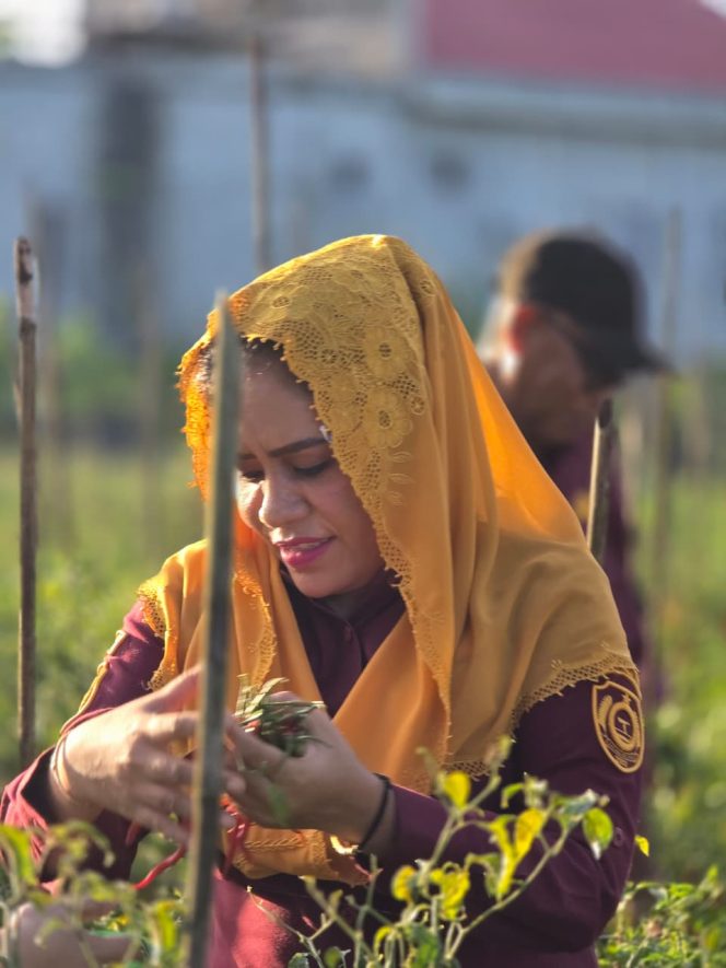 
					Kembali Kunjungi LP2B, Bupati Beri Sinyal Kuat Dorong Ketahanan Pangan di Kepulauan Sula