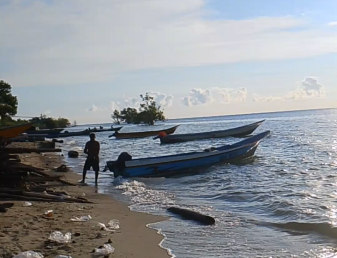 
					Hidup dari Laut, Nelayan Desa Fokalit Tercekik Biaya Sewa Long Boat